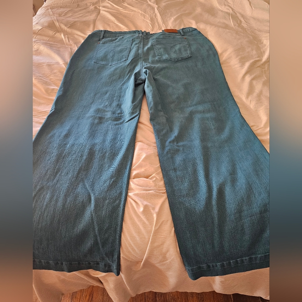 Judy Blue Teal Mid-Rise Jeans NWT 24W - Picture 5 of 6